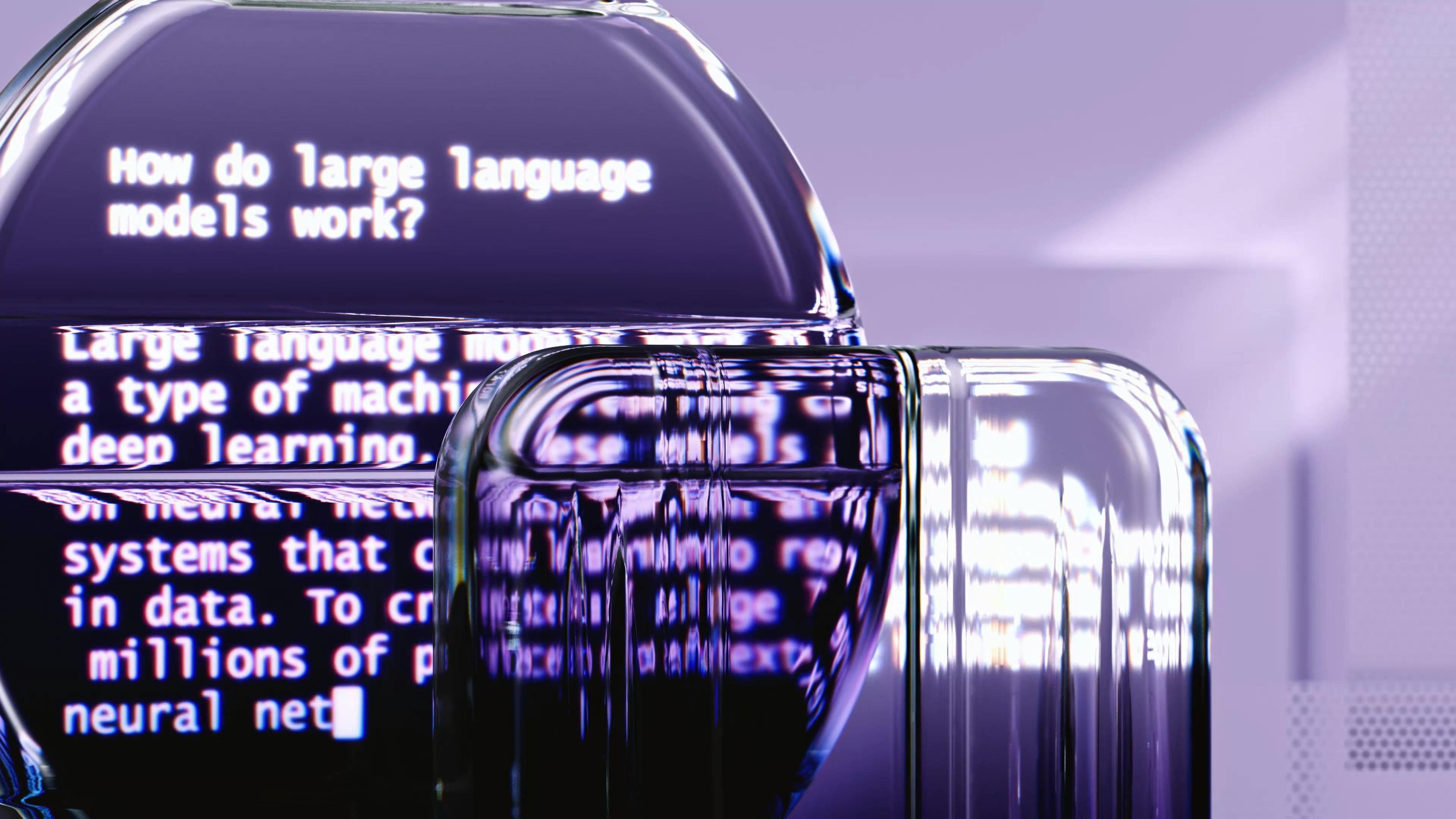 Large Language Model Example